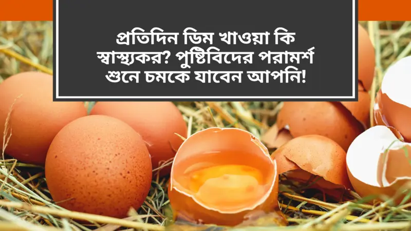 is-it-healthy-to-eat-eggs-everyday