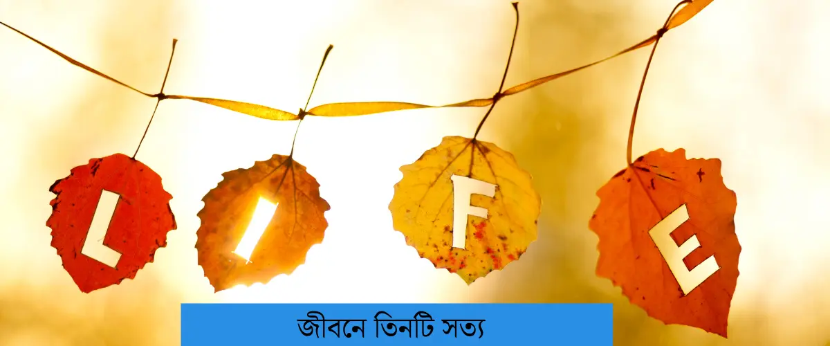 জীবনে তিনটি সত্য